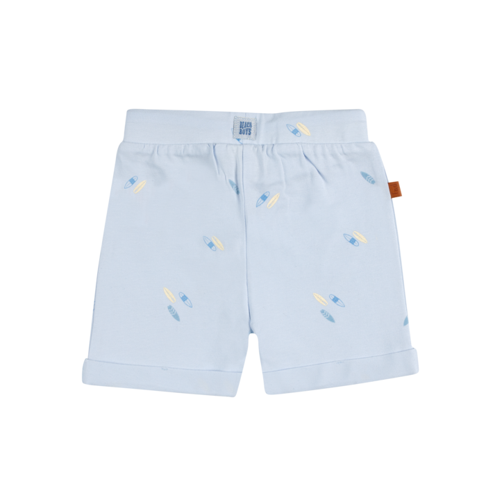Frogs and Dogs - Shorts surfboards