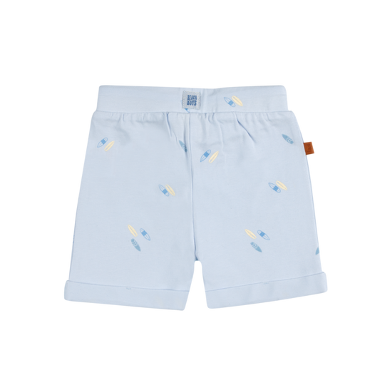 Frogs and Dogs - Shorts surfboards